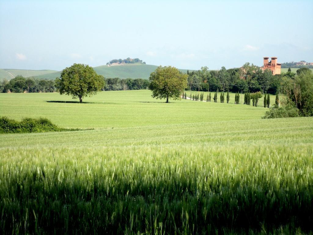 Castello Di San Fabiano Guest House Monteroni d'Arbia Luaran gambar