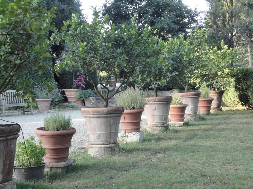 Castello Di San Fabiano Guest House Monteroni d'Arbia Luaran gambar